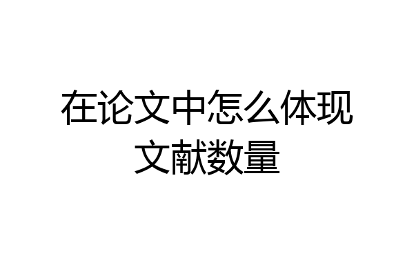 在论文中怎么体现文献数量