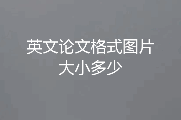 英文论文格式图片大小多少