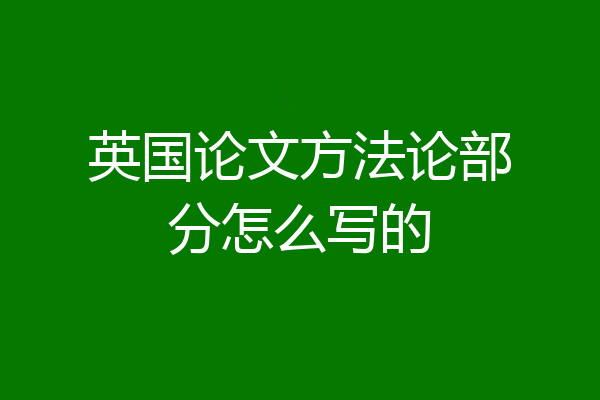 英国论文方法论部分怎么写的