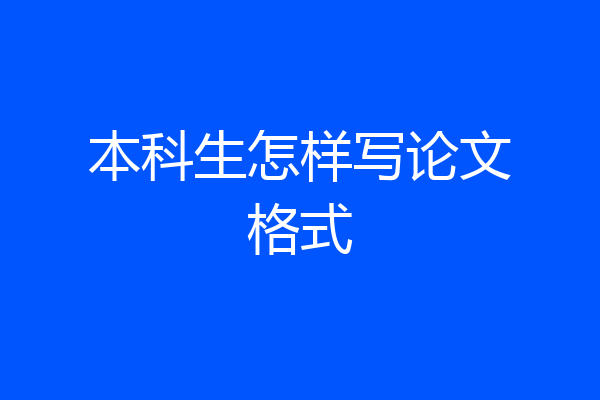 本科生怎样写论文格式