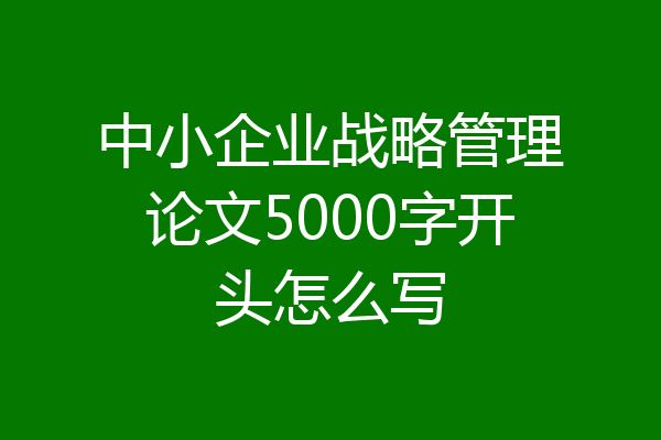 中小企业战略管理论文5000字开头怎么写