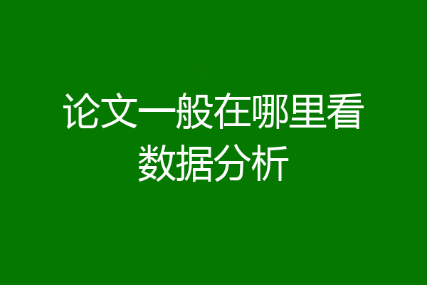 论文一般在哪里看数据分析