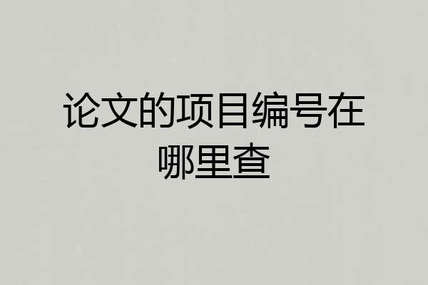 论文的项目编号在哪里查