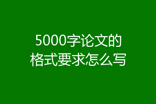 5000字论文的格式要求怎么写