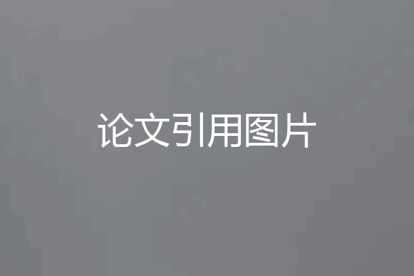论文引用图片