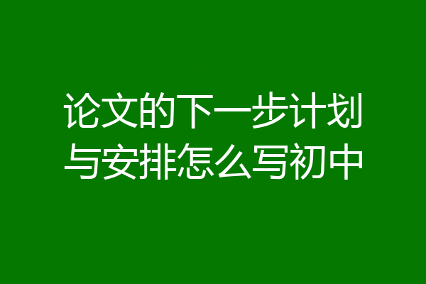 论文的下一步计划与安排怎么写初中