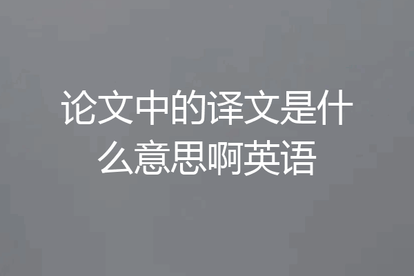 论文中的译文是什么意思啊英语