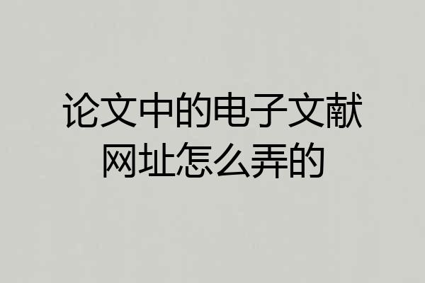 论文中的电子文献网址怎么弄的