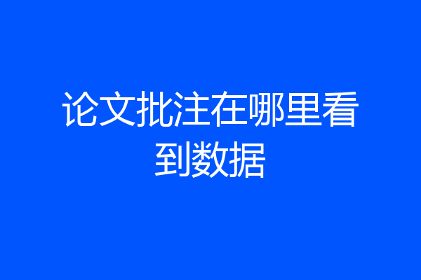 论文批注在哪里看到数据