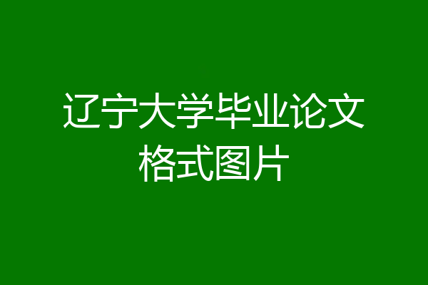 辽宁大学毕业论文格式图片