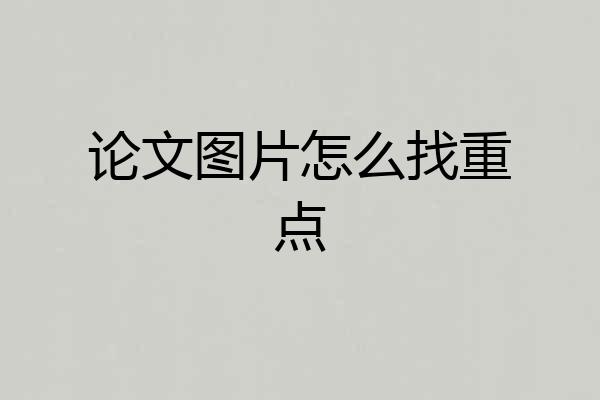 论文图片怎么找重点