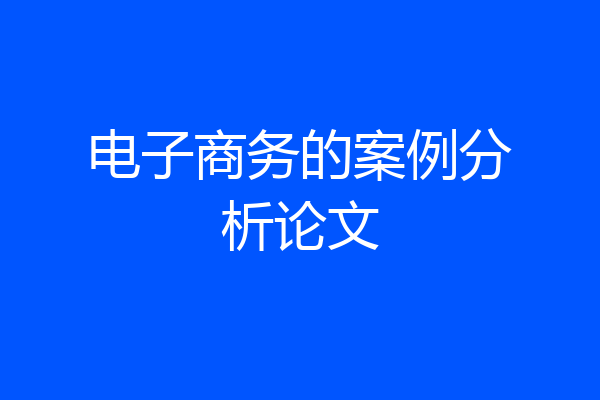 电子商务的案例分析论文