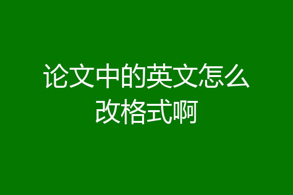 论文中的英文怎么改格式啊