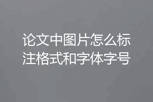 论文中图片怎么标注格式和字体字号