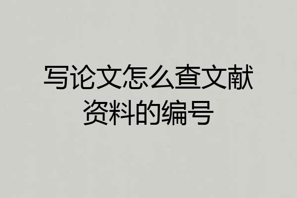 写论文怎么查文献资料的编号