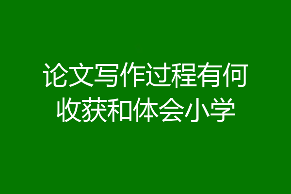 论文写作过程有何收获和体会小学