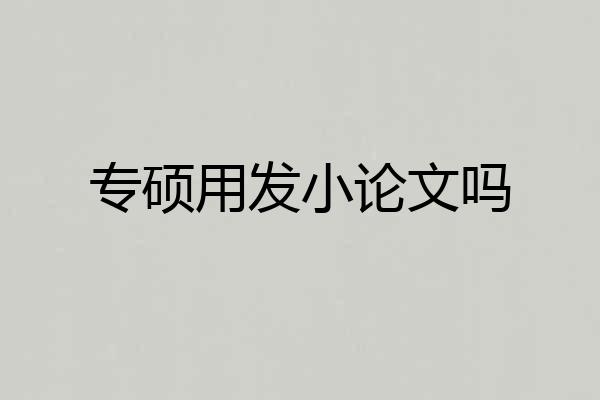 专硕用发小论文吗