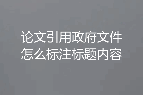 论文引用政府文件怎么标注标题内容