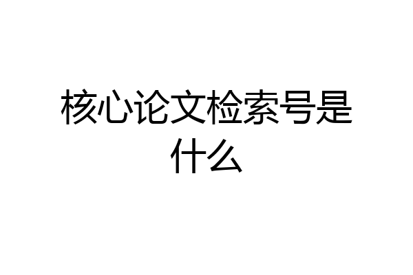 核心论文检索号是什么