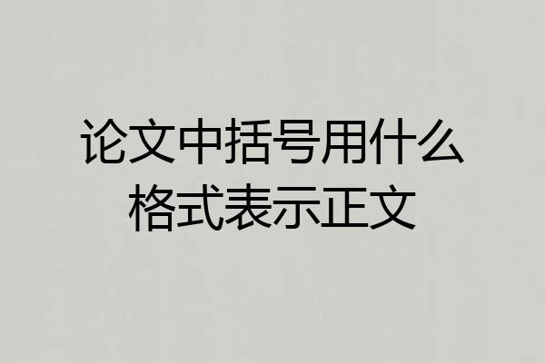 论文中括号用什么格式表示正文