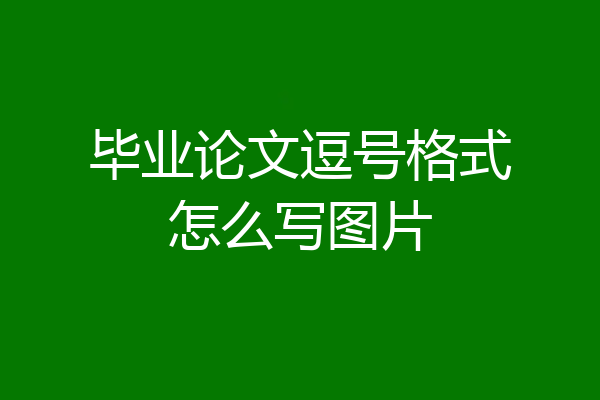 毕业论文逗号格式怎么写图片