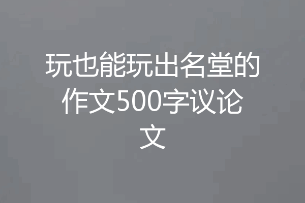 玩也能玩出名堂的作文500字议论文
