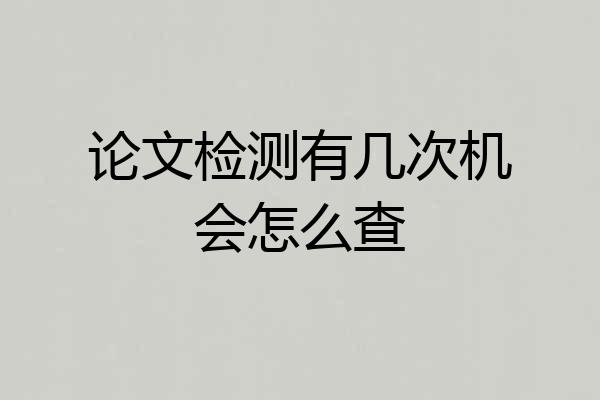 论文检测有几次机会怎么查