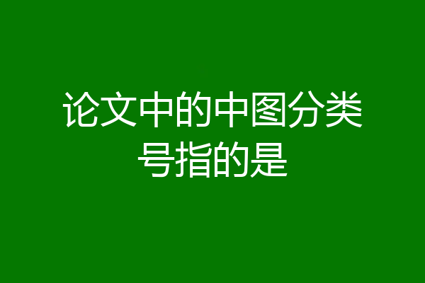 论文中的中图分类号指的是
