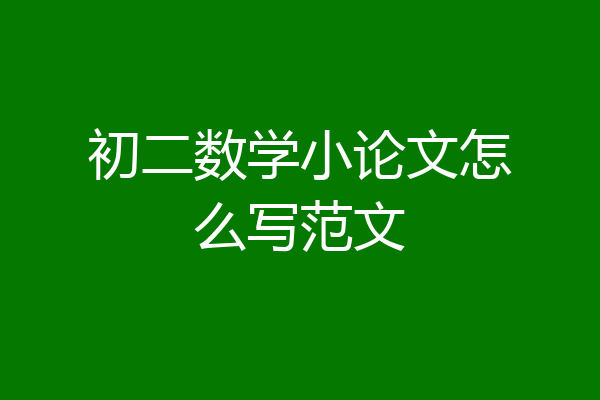 初二数学小论文怎么写范文
