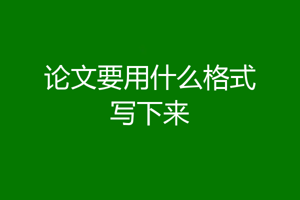 论文要用什么格式写下来