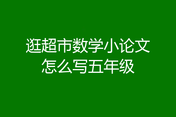 逛超市数学小论文怎么写五年级