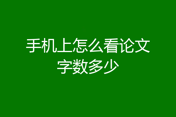 手机上怎么看论文字数多少