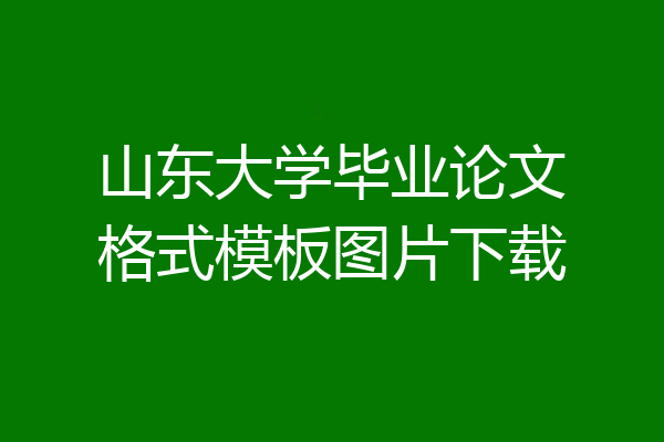 山东大学毕业论文格式模板图片下载