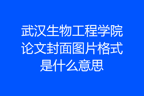 武汉生物工程学院论文封面图片格式是什么意思