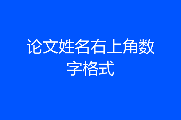 论文姓名右上角数字格式