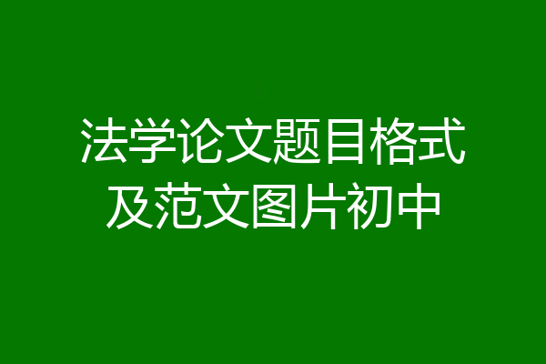 法学论文题目格式及范文图片初中