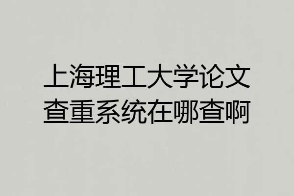 上海理工大学论文查重系统在哪查啊