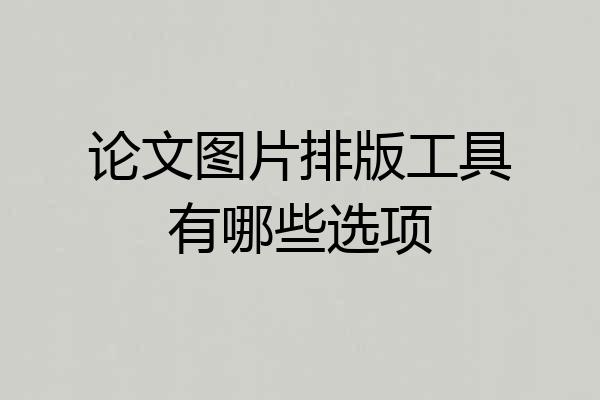 论文图片排版工具有哪些选项