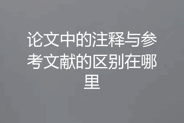论文中的注释与参考文献的区别在哪里