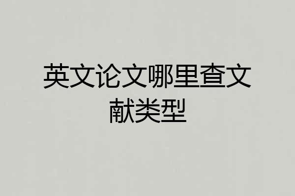 英文论文哪里查文献类型