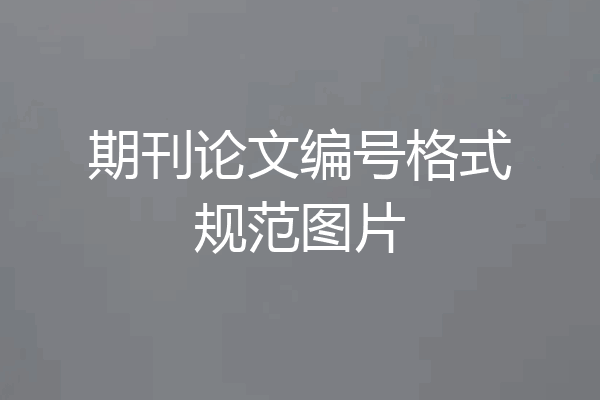 期刊论文编号格式规范图片