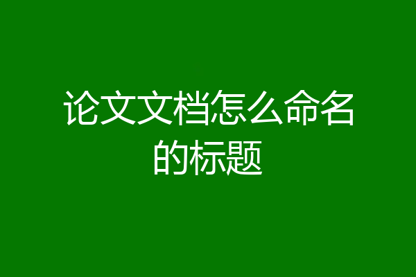 论文文档怎么命名的标题