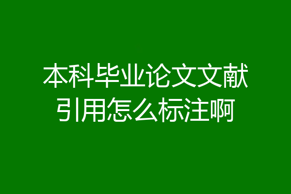 本科毕业论文文献引用怎么标注啊