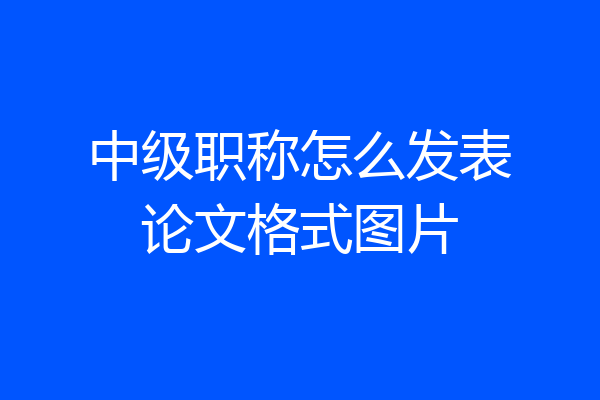 中级职称怎么发表论文格式图片