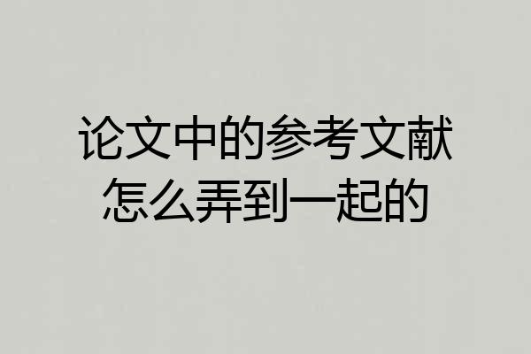 论文中的参考文献怎么弄到一起的
