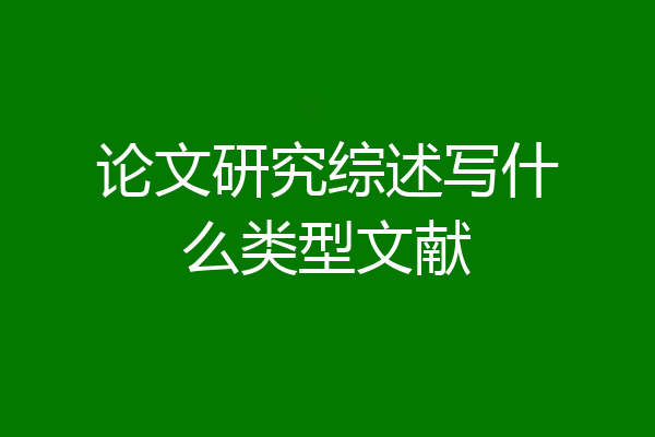 论文研究综述写什么类型文献