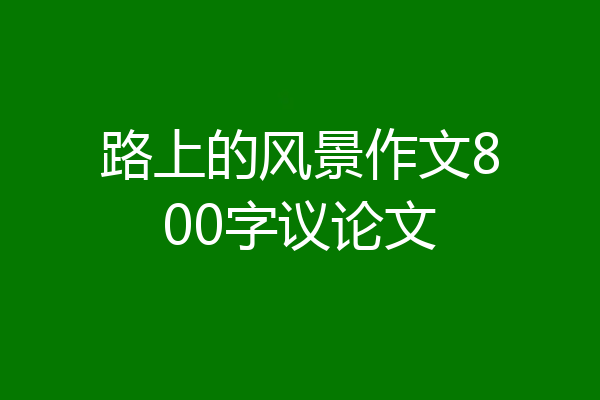 路上的风景作文800字议论文