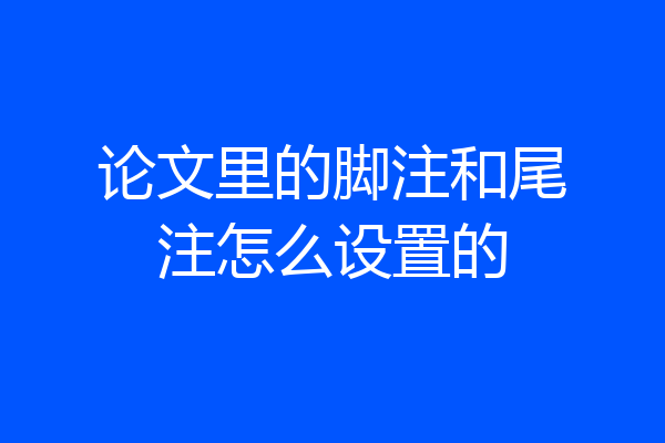 论文里的脚注和尾注怎么设置的