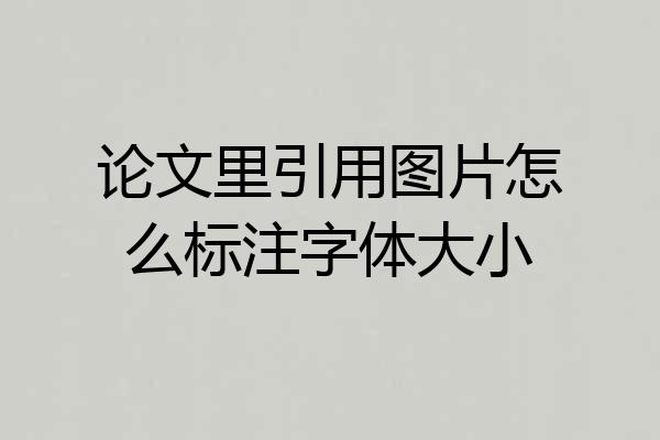 论文里引用图片怎么标注字体大小