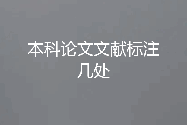 本科论文文献标注几处